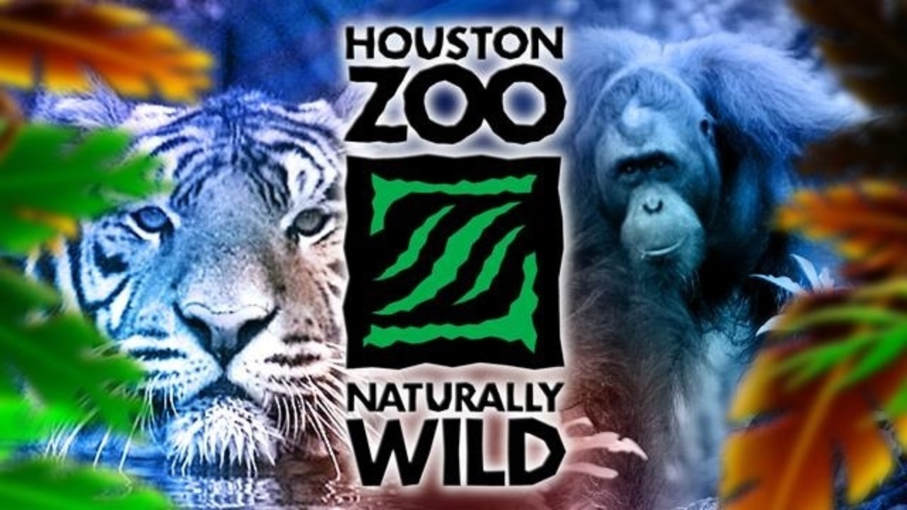 Houstone Zoo